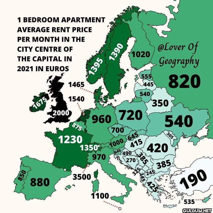 10. 1 Bedroom Apartment...