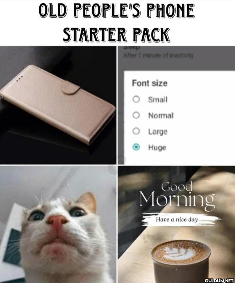 OLD PEOPLE'S PHONE STARTER...