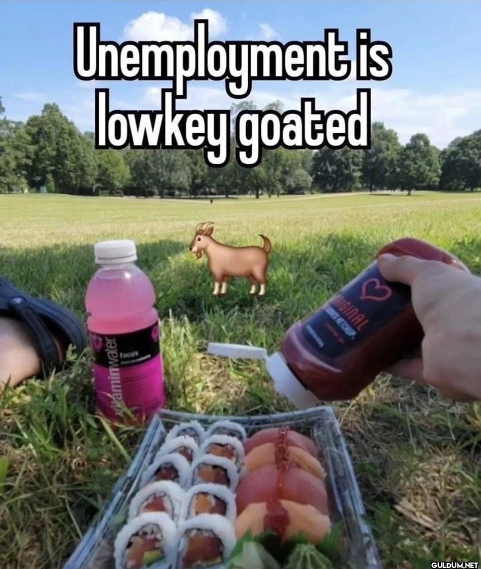 Unemployment is lowkey...