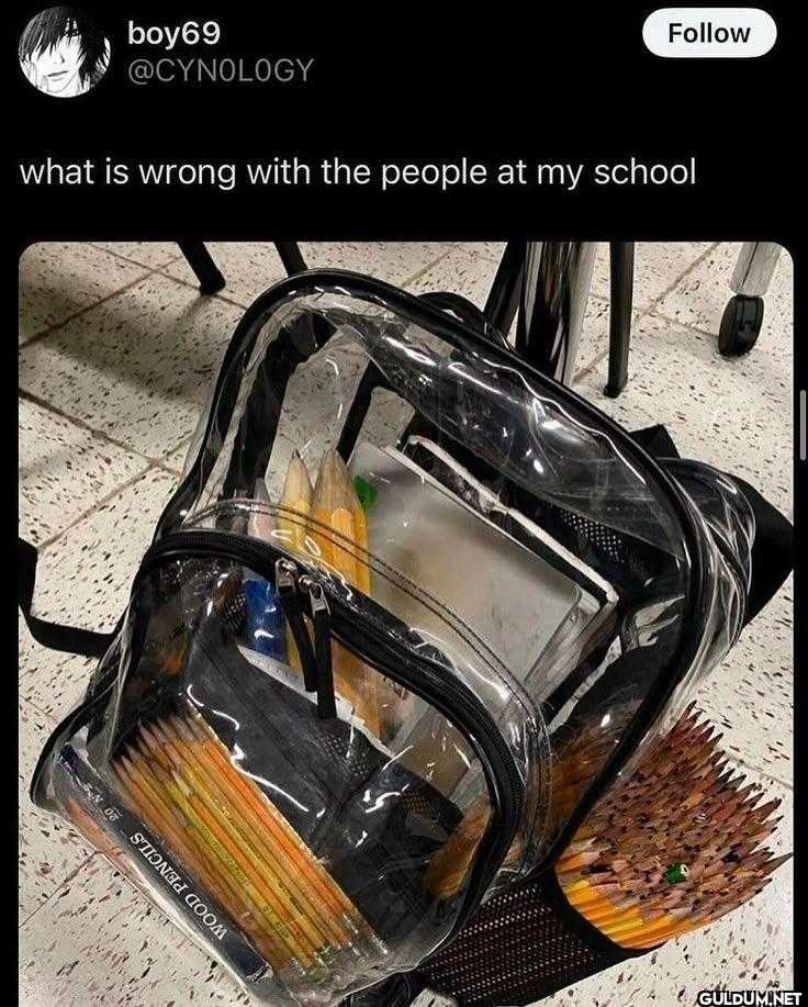 what is wrong with the...