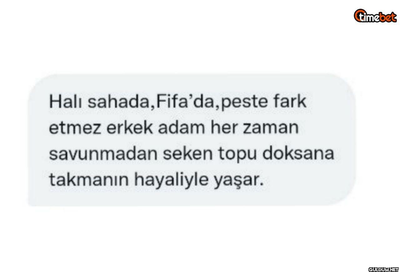 Hali sahada, Fifa'da,...