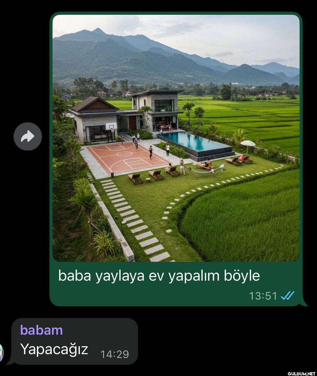 yapacagiz.    baba yaylaya...