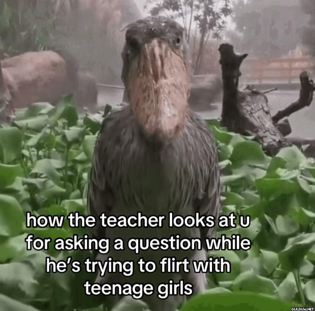 how the teacher looks at u...