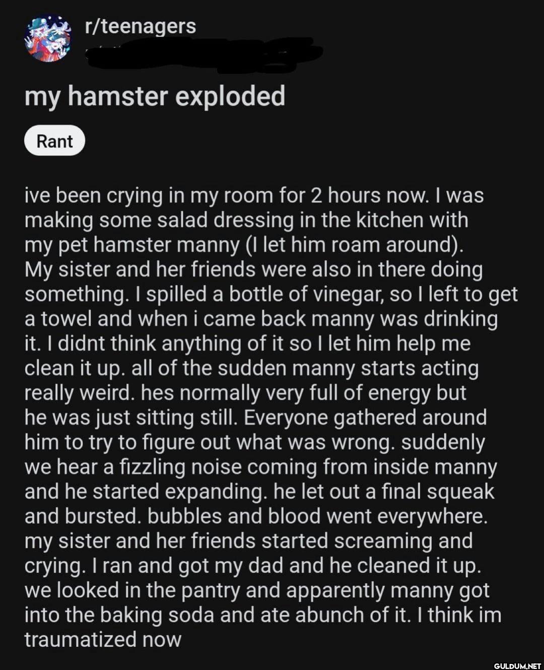 r/teenagers my hamster...