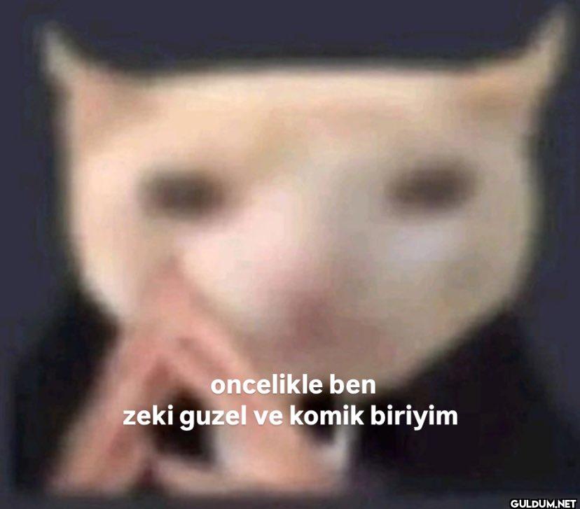 oncelikle ben zeki guzel...