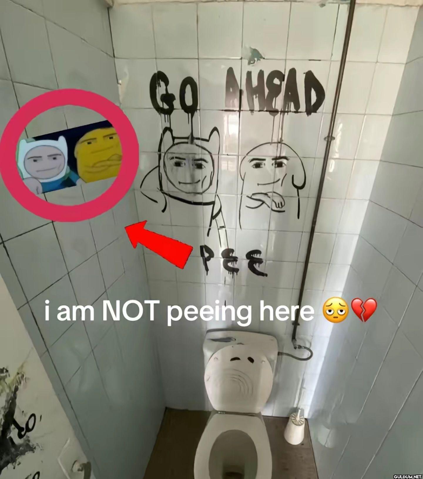 GO AHEAD PEE i am NOT peeing here