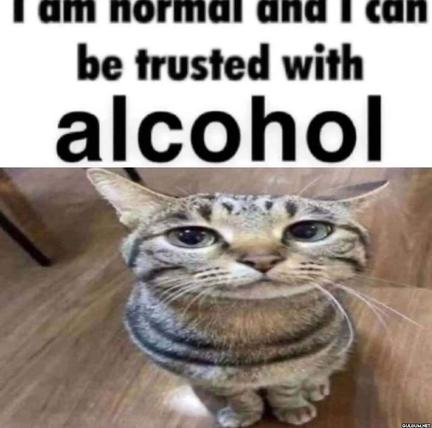I am normal and I can be...