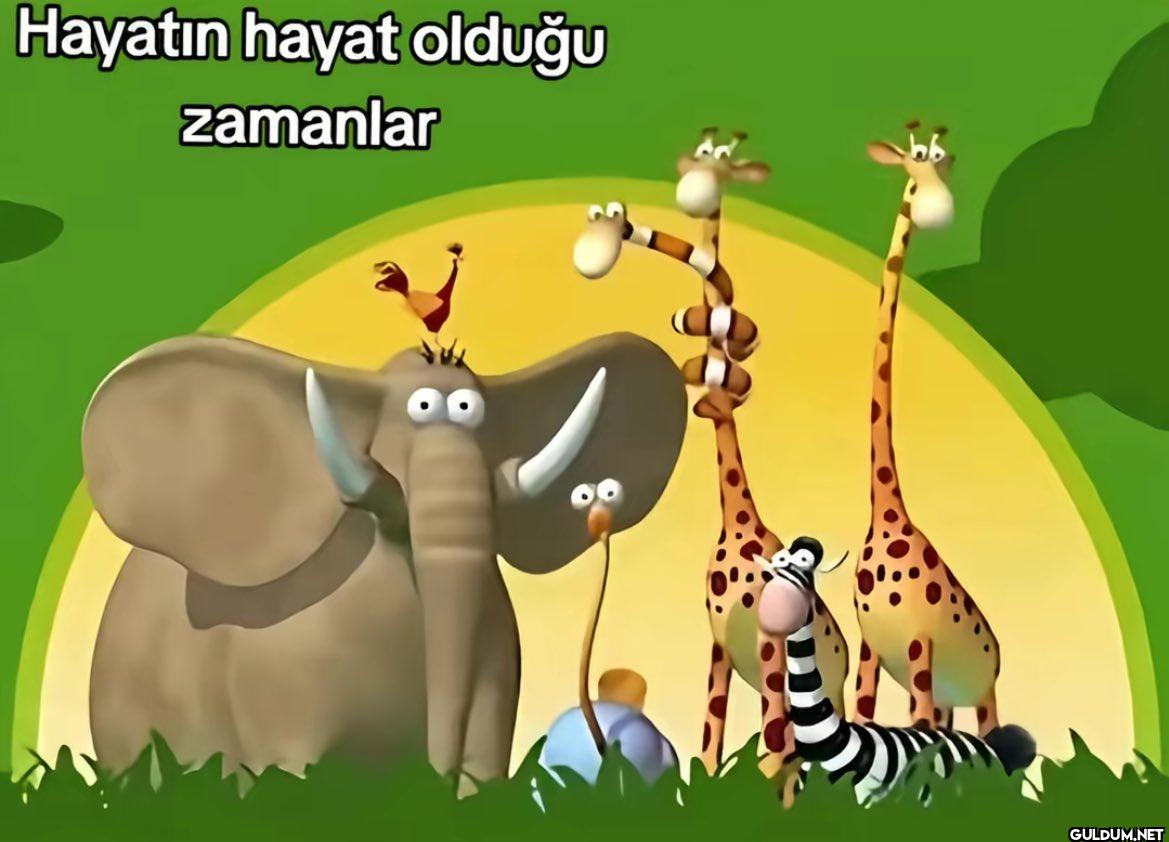 En son mutlu olduğumuz...