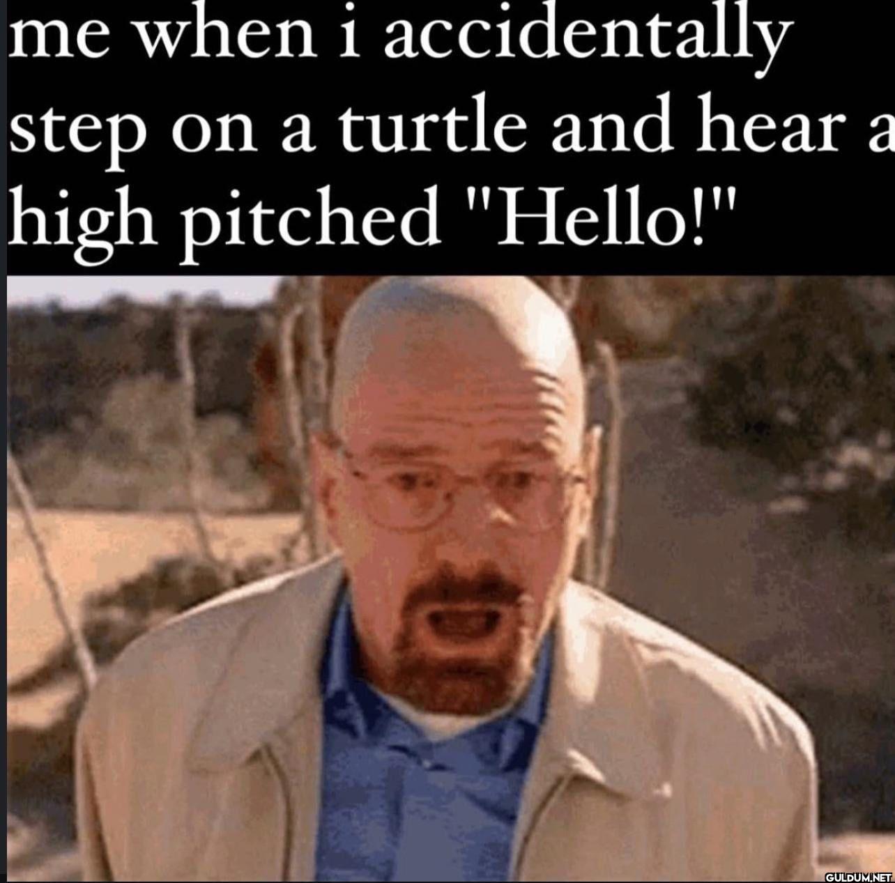 me when i accidentally...