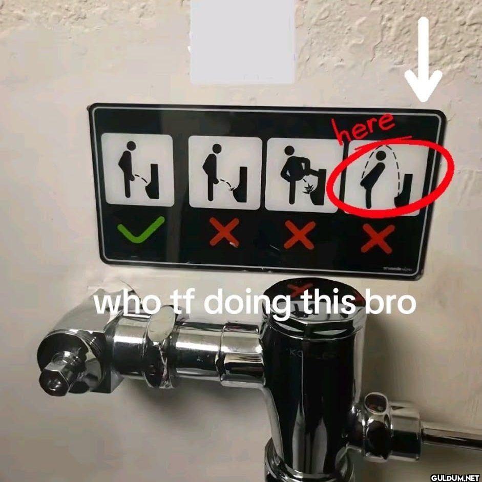 here who tf doing this bro