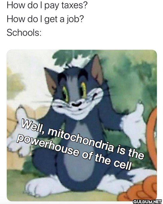 Pretty much, lol.    How...