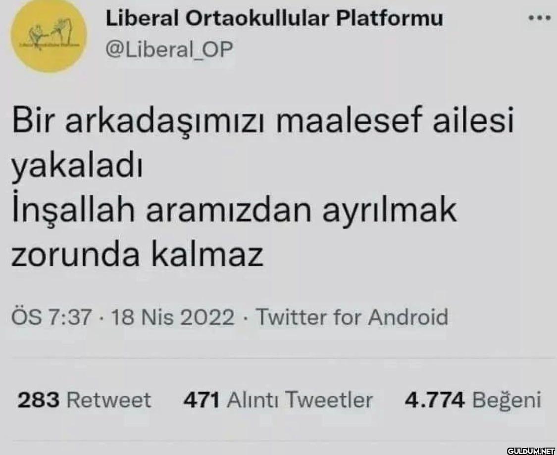 Liberal Ortaokullular...