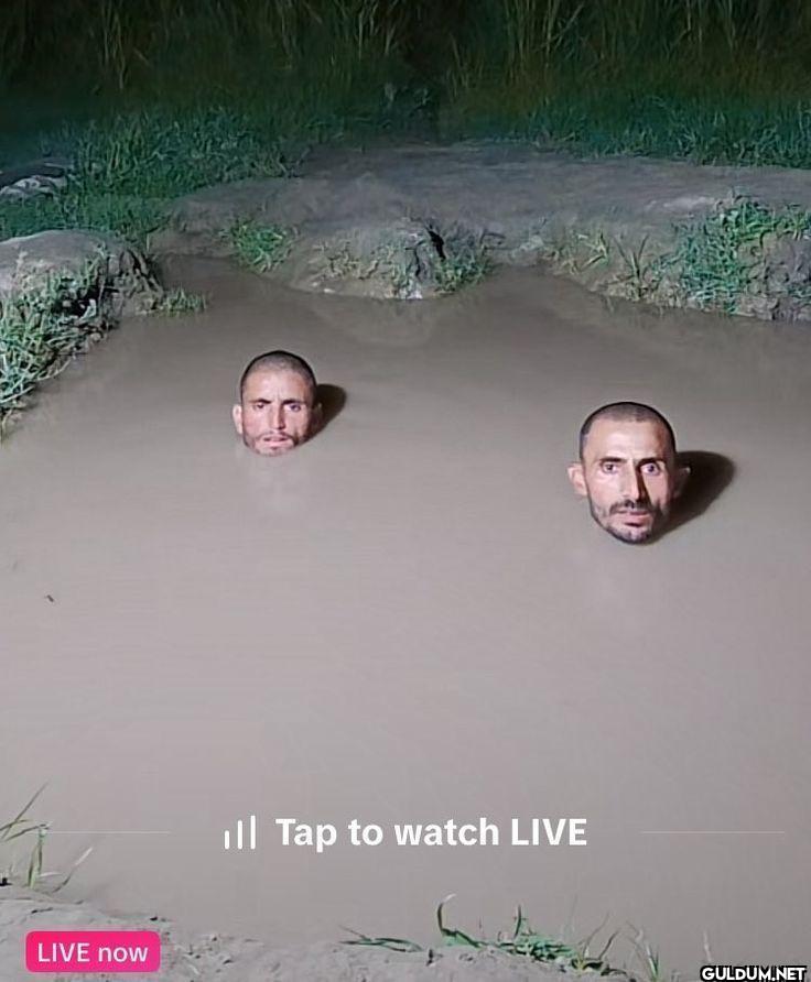 Tap to watch LIVE LIVE now