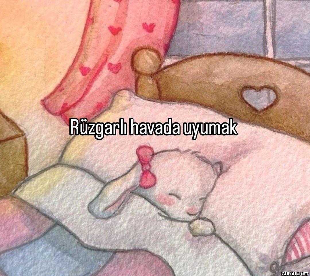 Rüzgarı havada uyumak