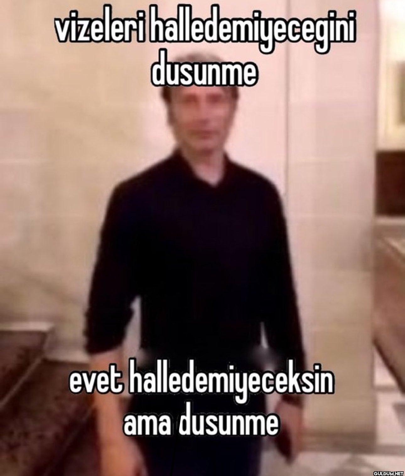 vizeleri halledemiyecegini...