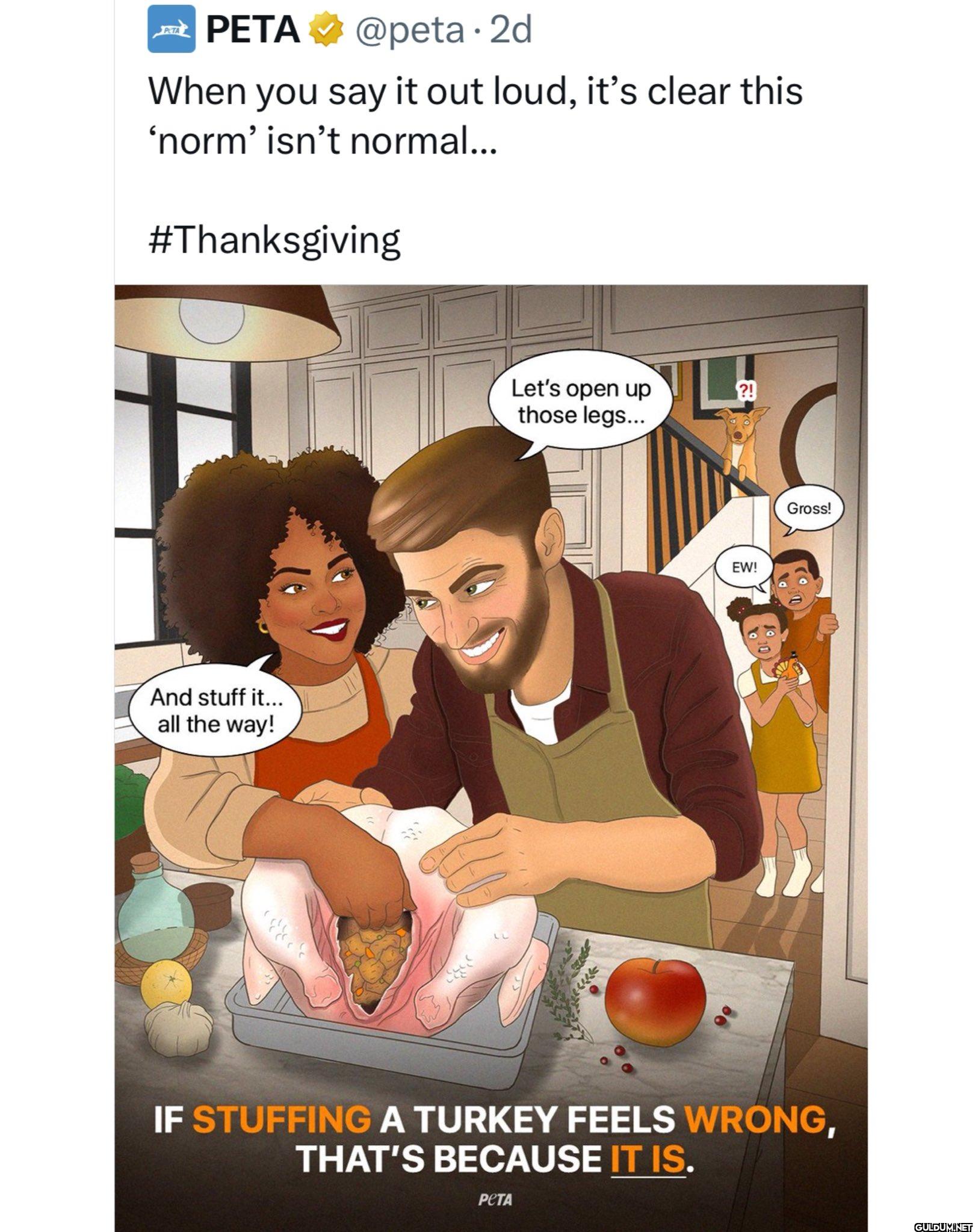 What the hell is wrong...