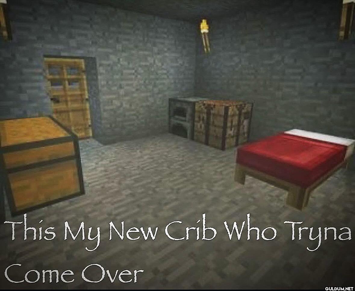 This My New Crib Who Tryna...
