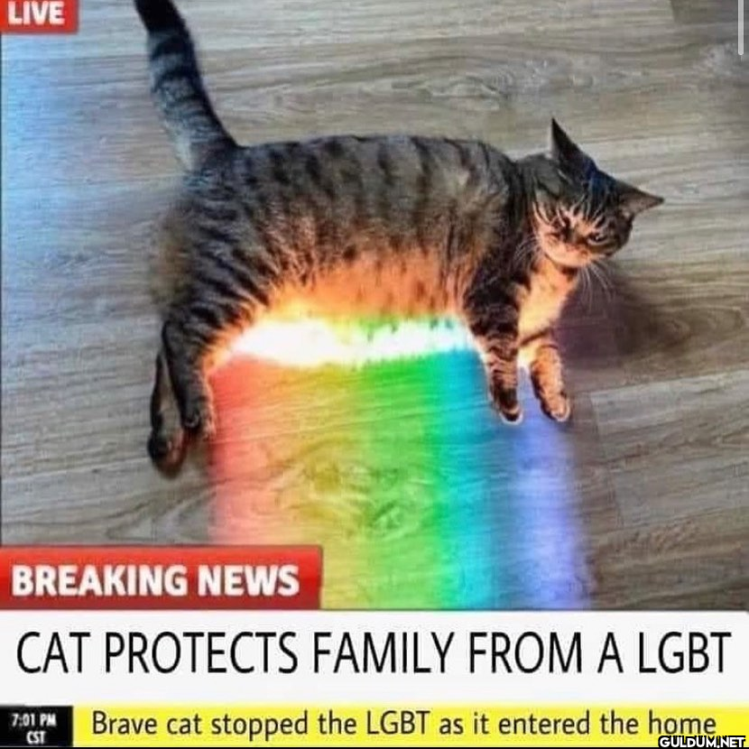 🤣    LIVE BREAKING NEWS...