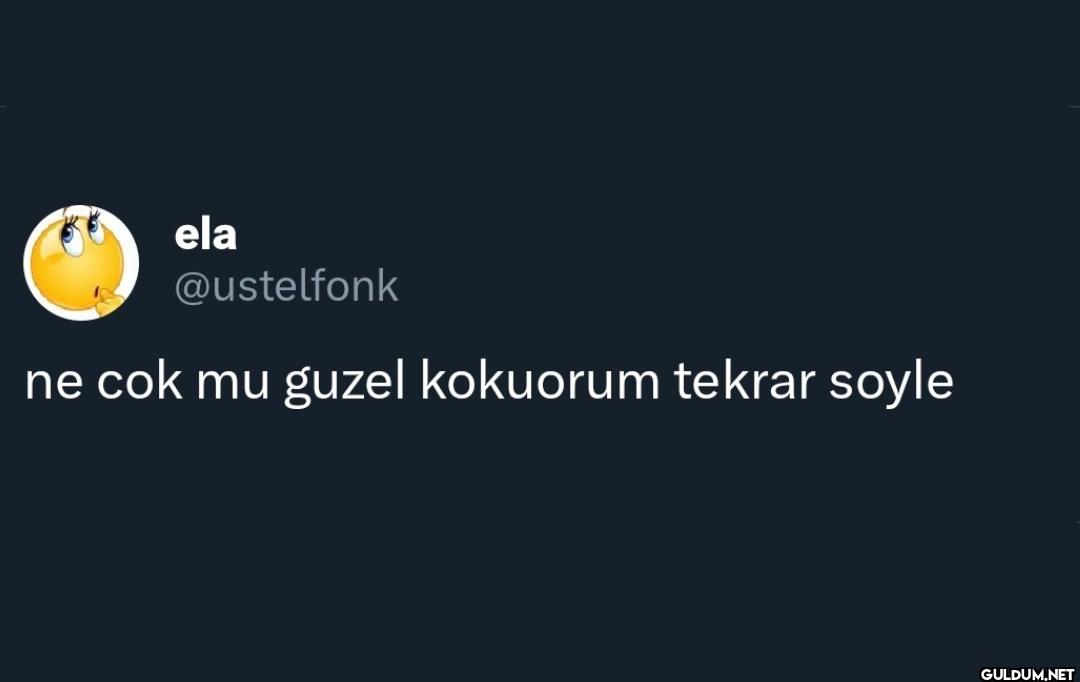 ne cok mu guzel kokuorum...