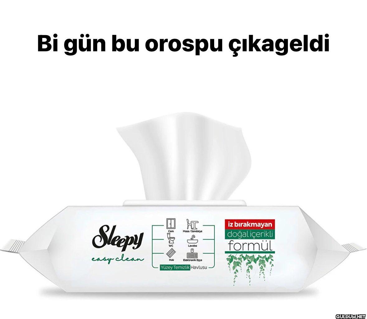 Bi gün bu orospu çıkageldi...