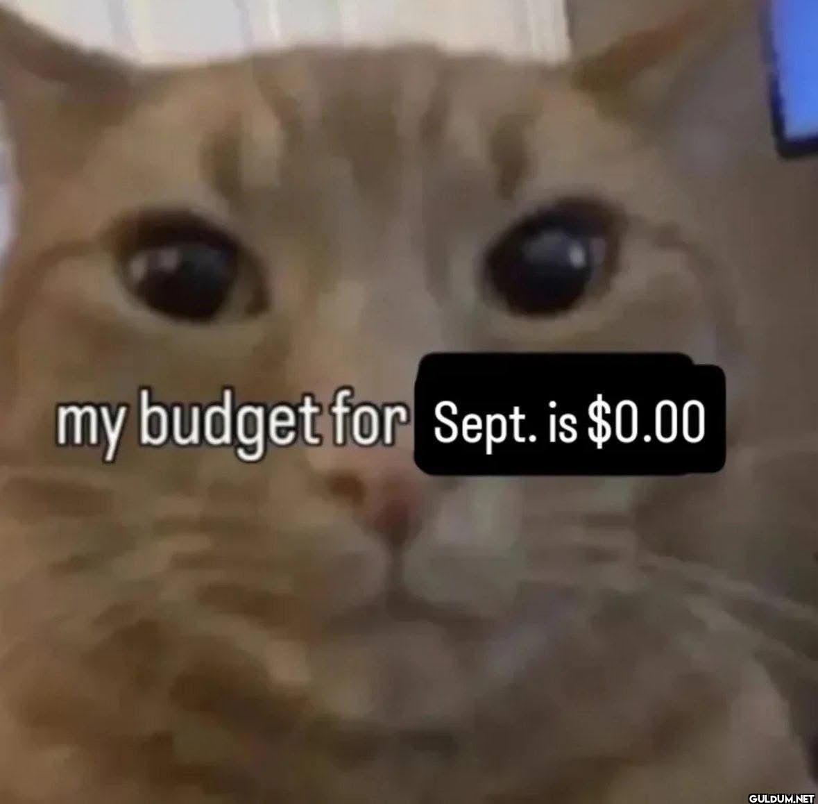 my budget for Sept. is $0.00