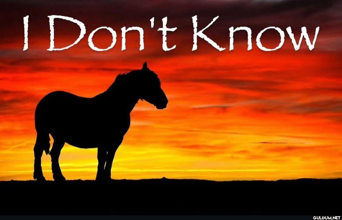 I Don't Know