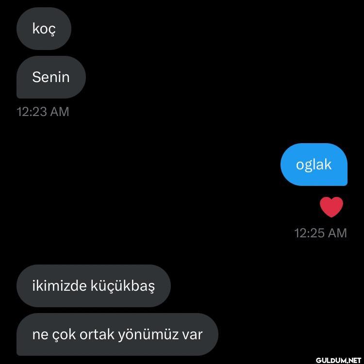 ideal burç yorumu    koç...