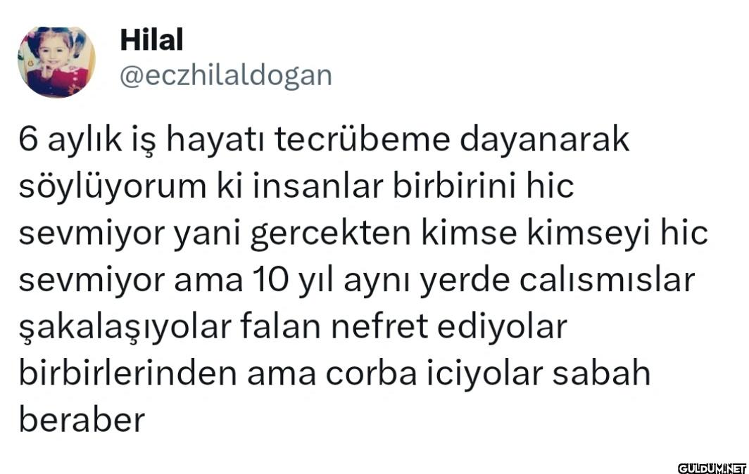 6 aylık iş hayatı...