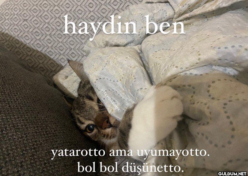 yatarotto ama uyumayotto....