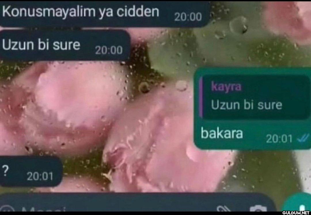 Konusmayalim ya cidden...