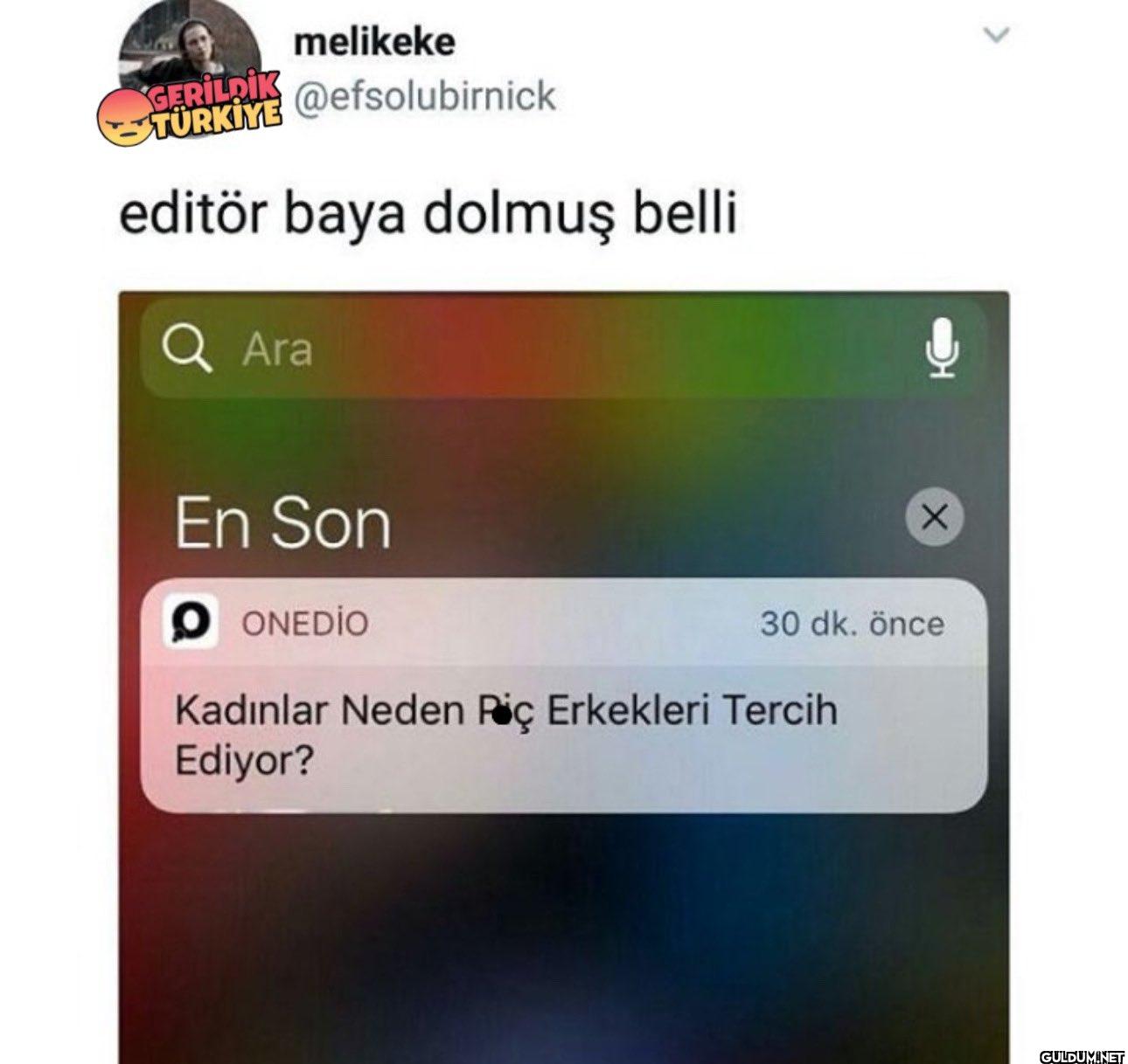 TÜRKİYE editör baya dolmuş...