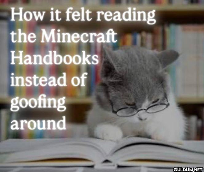 How it felt reading the...