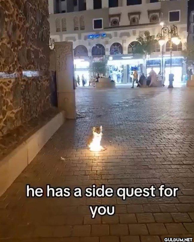 he has a side quest for you
