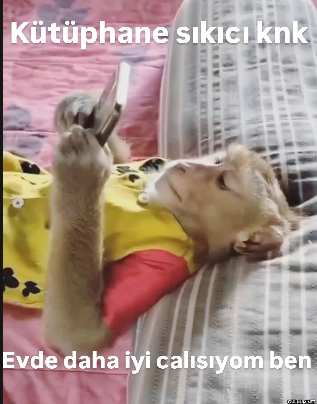 Kütüphane sıkıcı knk...