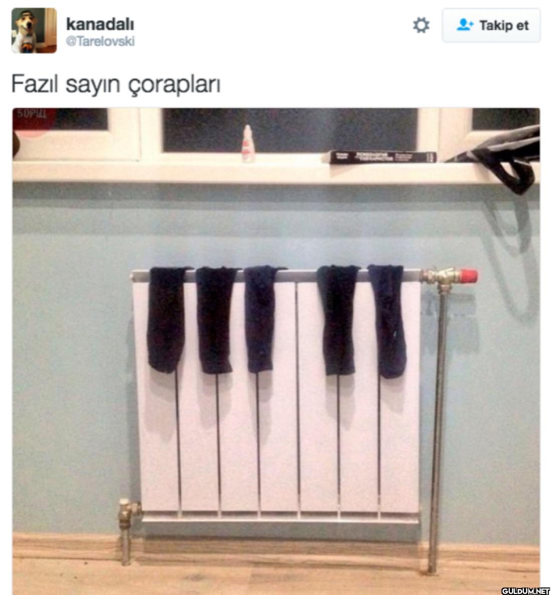 Fazıl sayın çorapları...