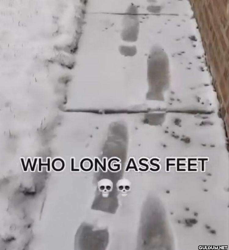 WHO LONG ASS FEET