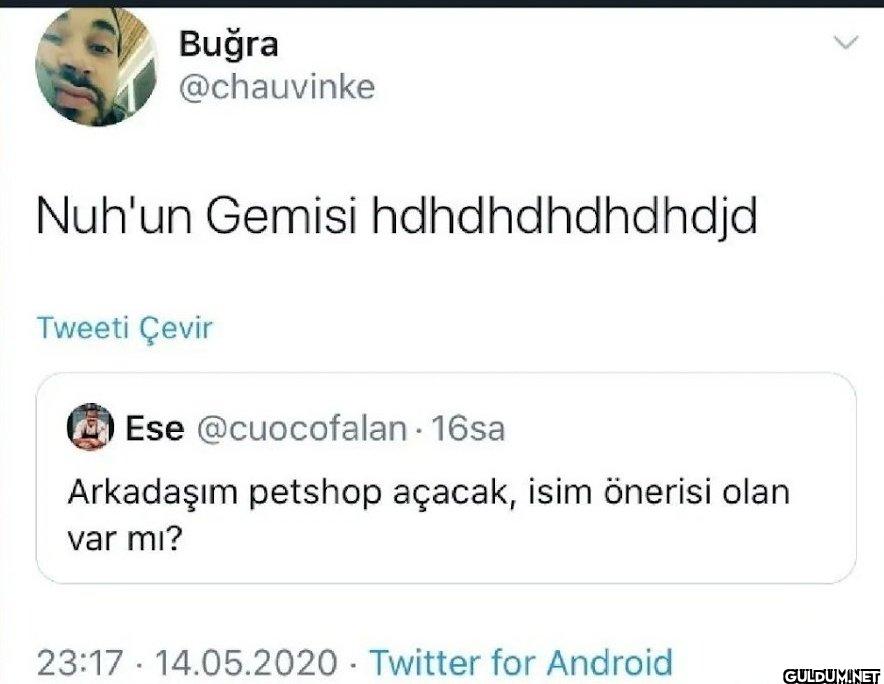 Nuh'un Gemisi...