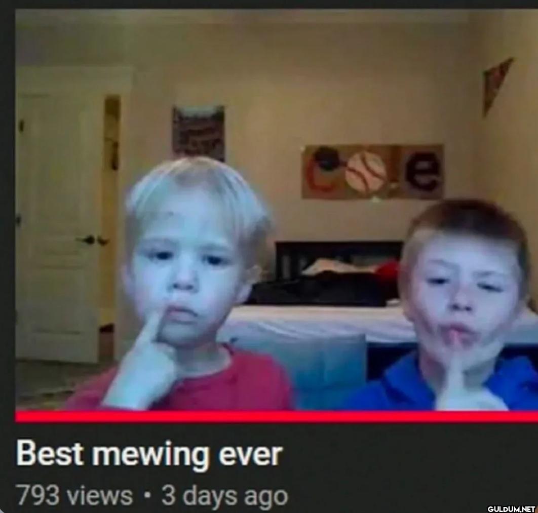 Best mewing ever 793 views...