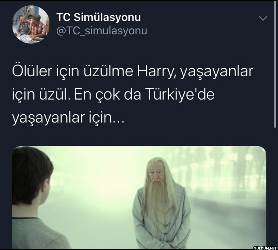 Ölüler için üzülme Harry,...