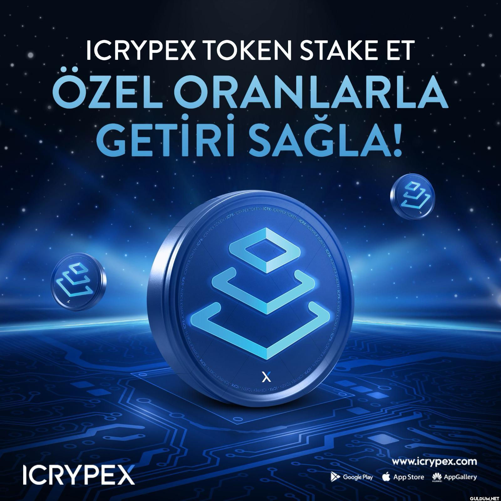 Kripto borsası tutkunları,...