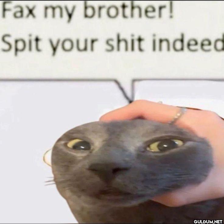 Fax my brother! Spit your...