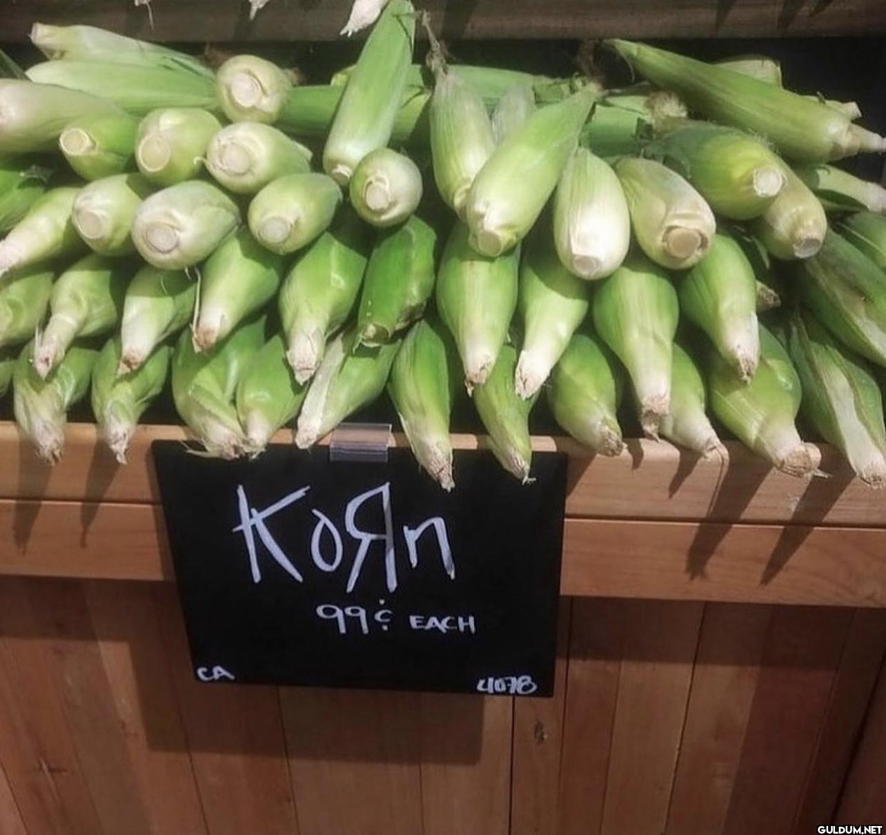 CA Коян ११ EACH 4078