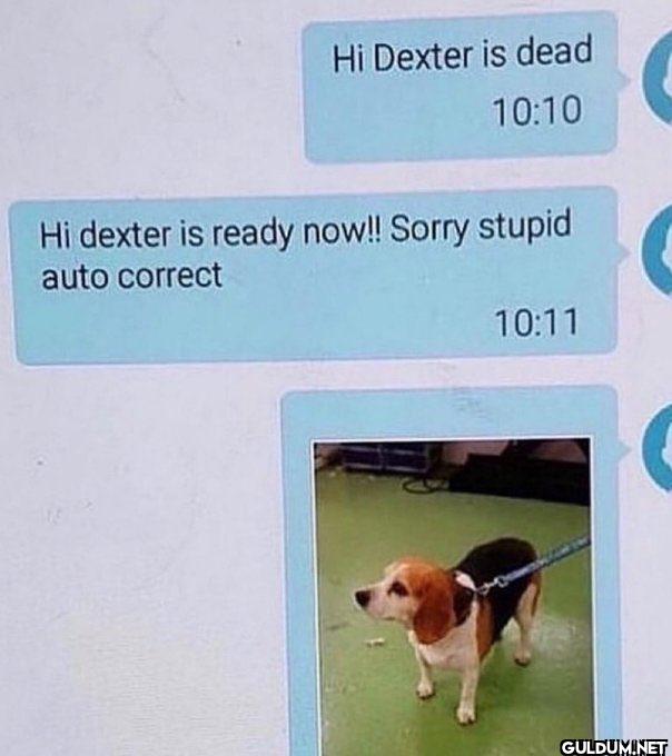 Hi Dexter is dead 10:10 Hi...