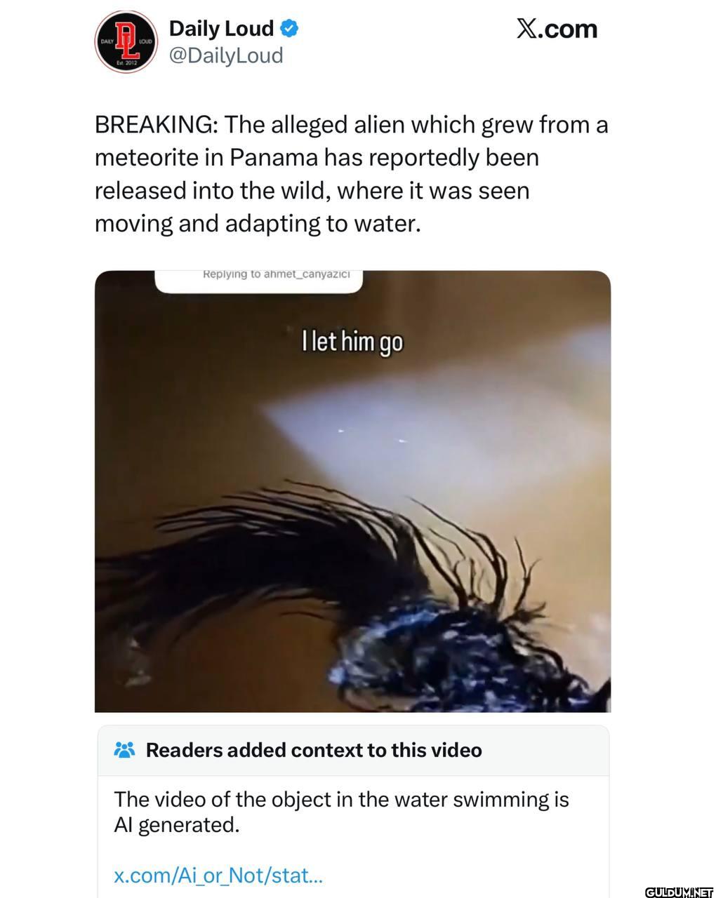 Not an alien but AI    -2-...