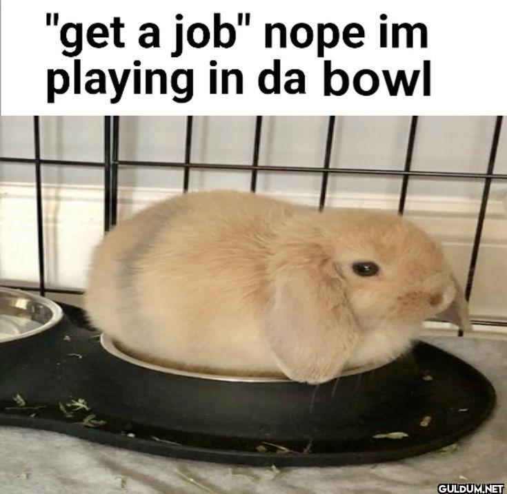 get a job nope im playing...