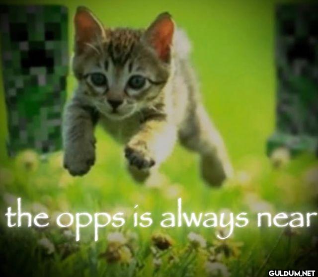 the opps is always near
