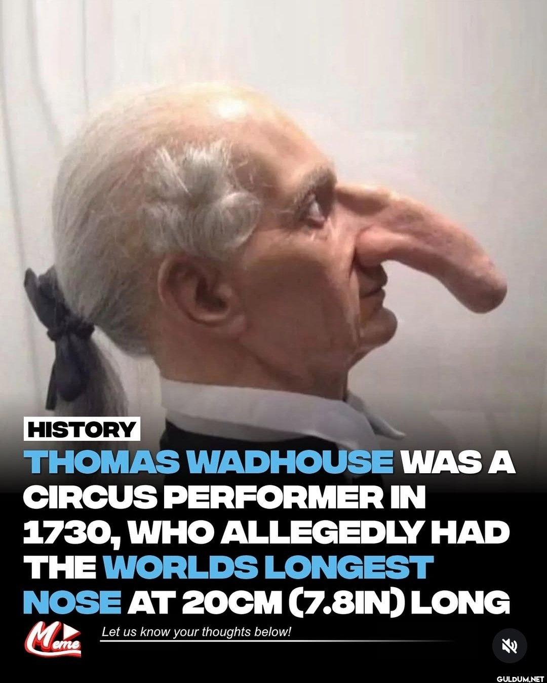 Bruh- 💀    HISTORY THOMAS...