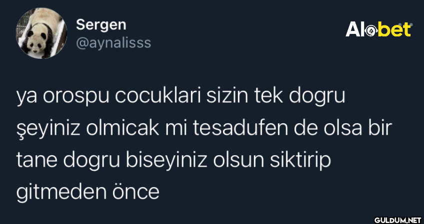 ya orospu cocuklari sizin...