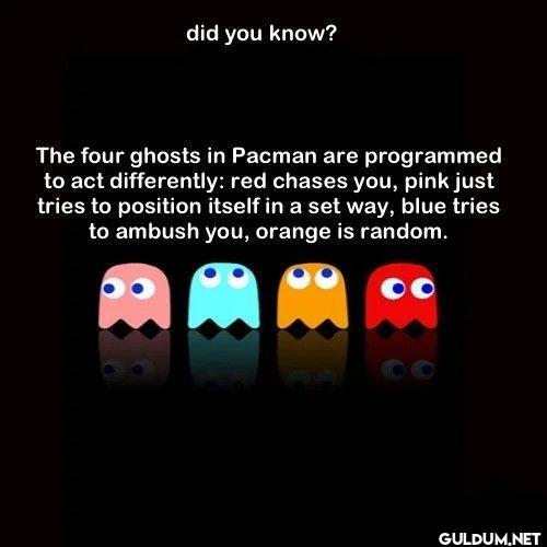 did you know? The four...