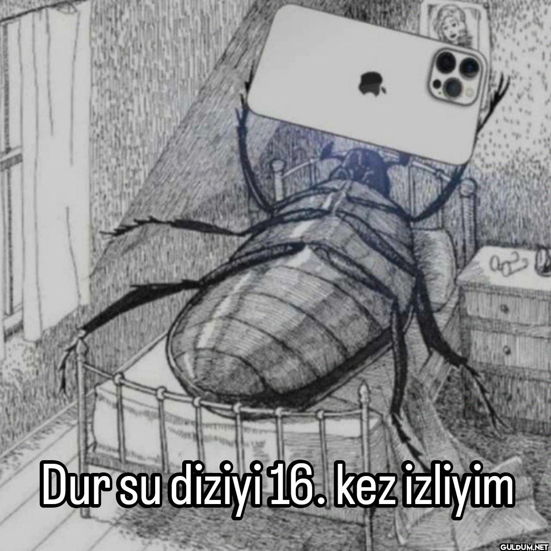 Dediğiniz bir dizi✍️   ...